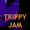 17 Seasons - Trippy Jam - Single